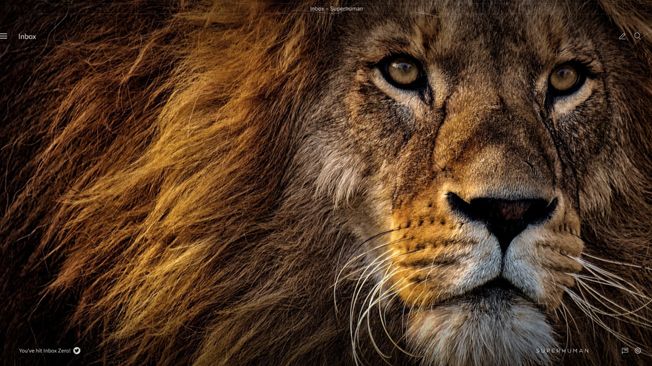 What is horizontal leadership?