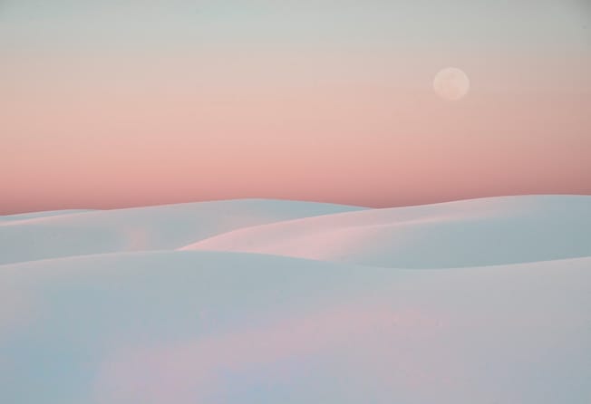 AI-native startups are the blueprint for disruptive growth