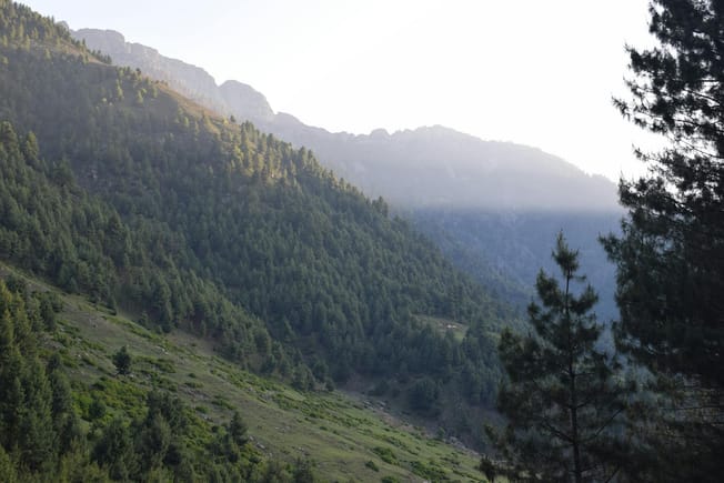 Why business process automation AI fuels hypergrowth