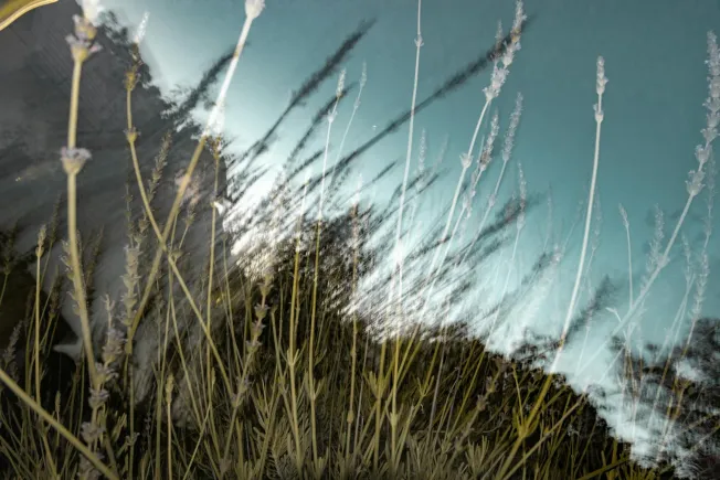 How CEOs can organize their inbox with Superhuman