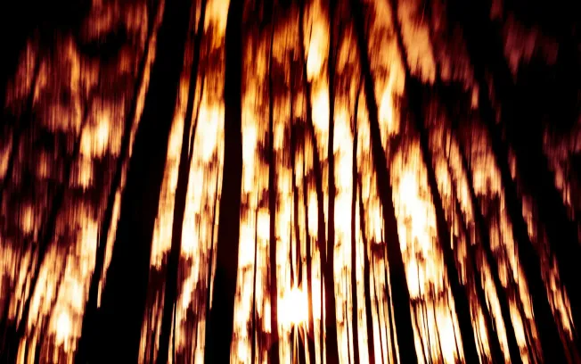 How product teams can organize their inbox with Superhuman