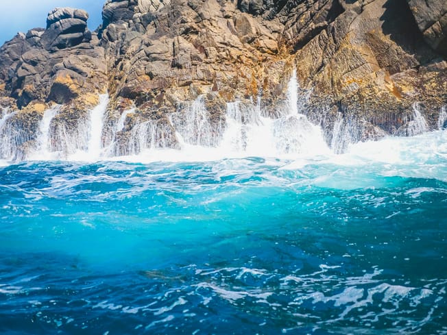 Morning routines of successful entrepreneurs: Ugly truth