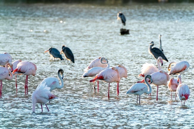 AI strategy planning is where good ideas run down