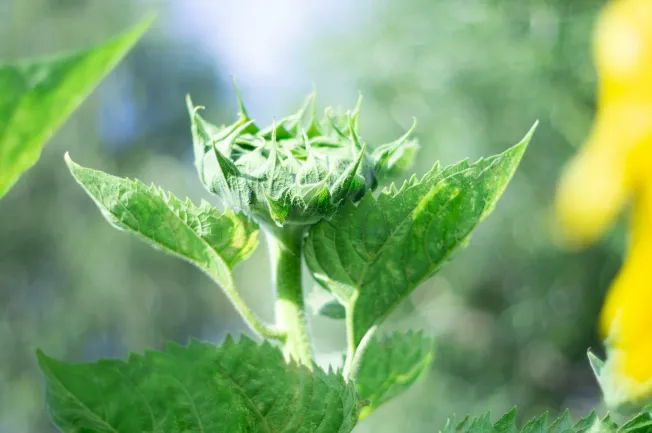 The truth about AI in business strategy