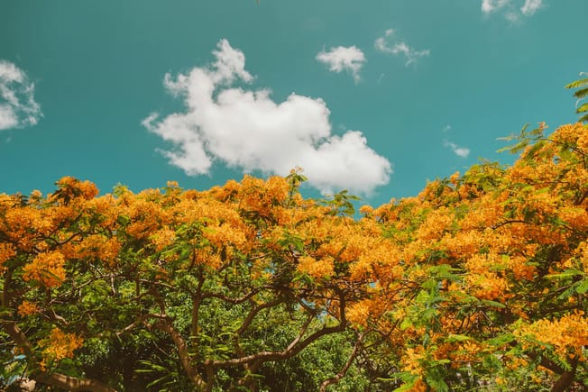 Why enterprise agentic AI adoption matters in 2025