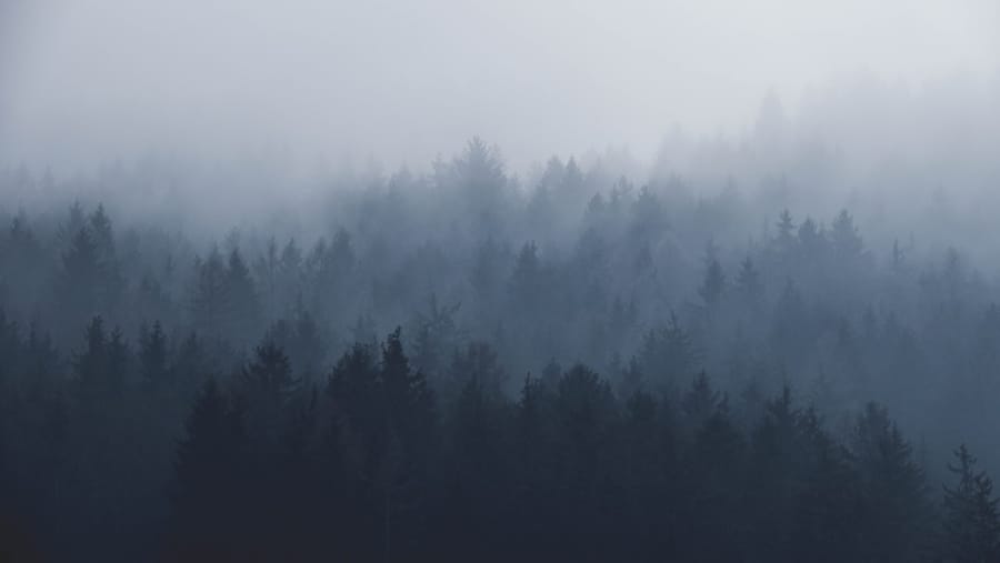 7 internal email examples that work