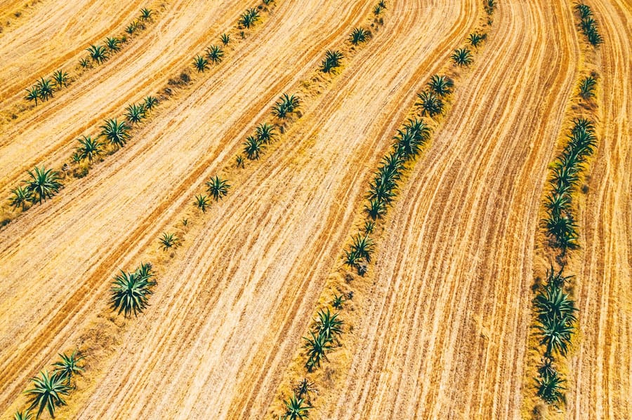 2025 AI adoption trends based on what companies actually do