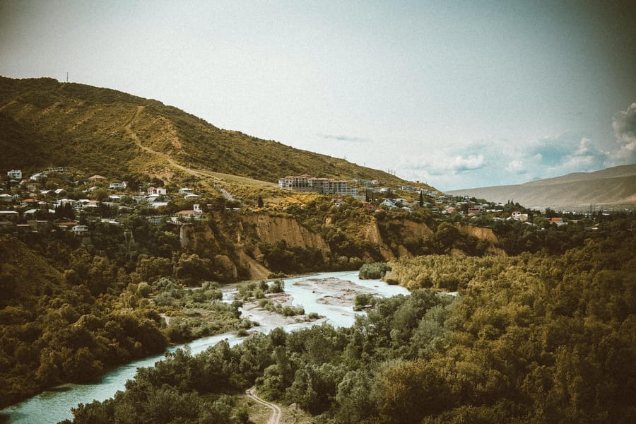 How change management drives successful AI adoption